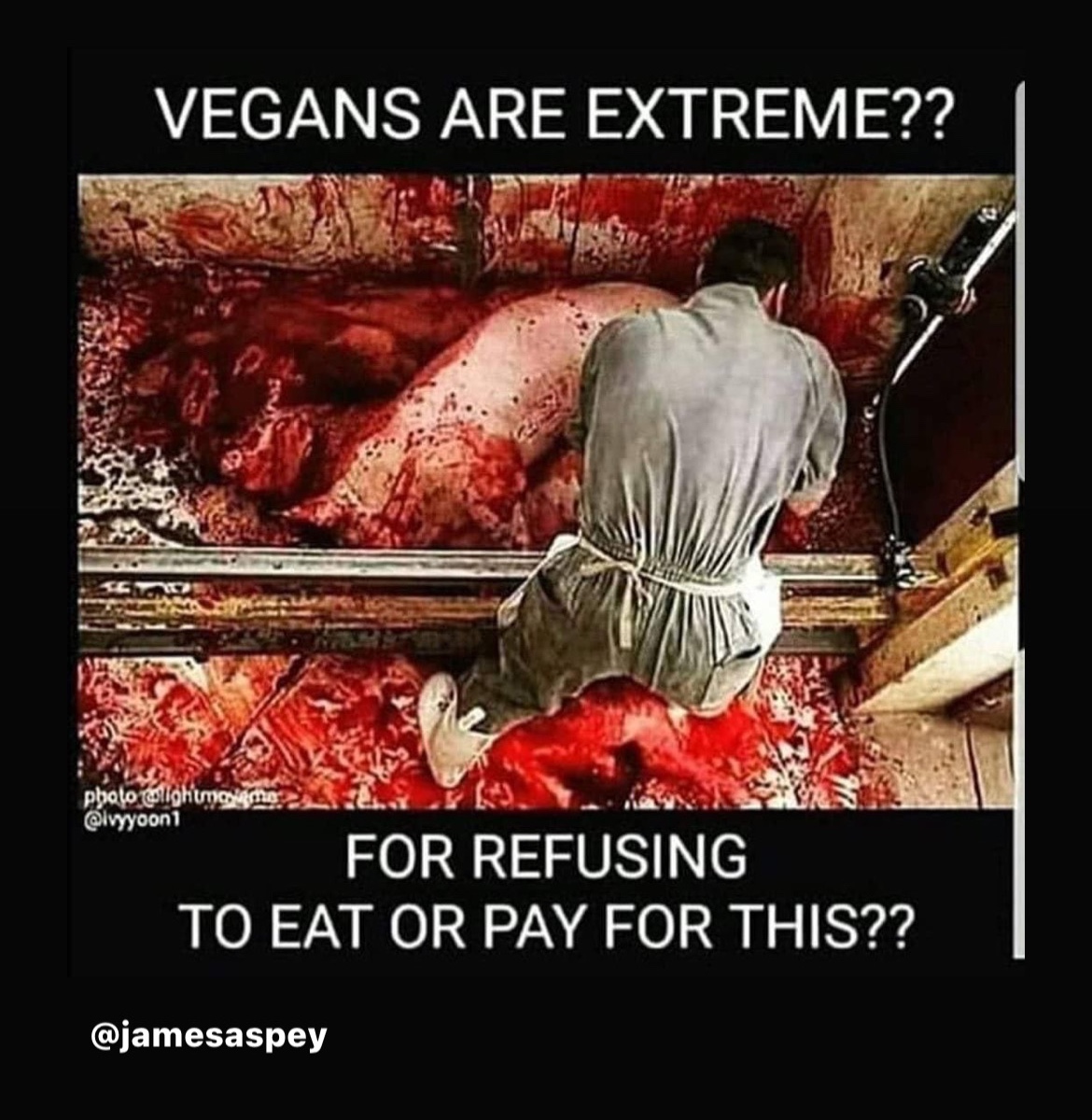 Vegans are extremists!